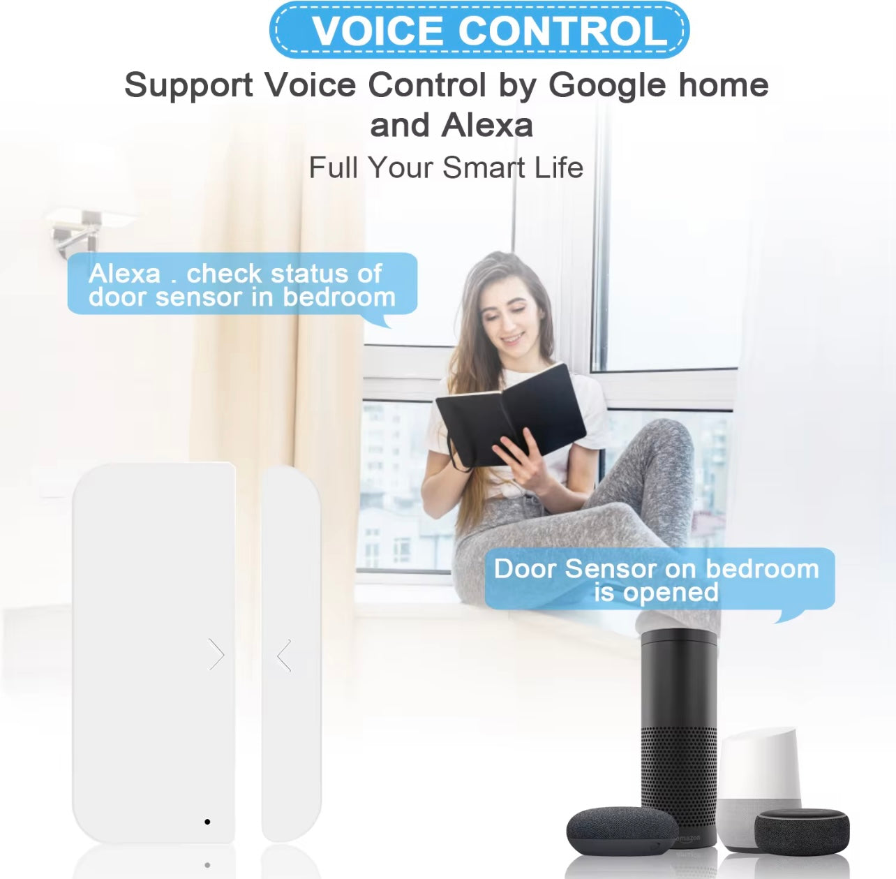 Door sensor voice control